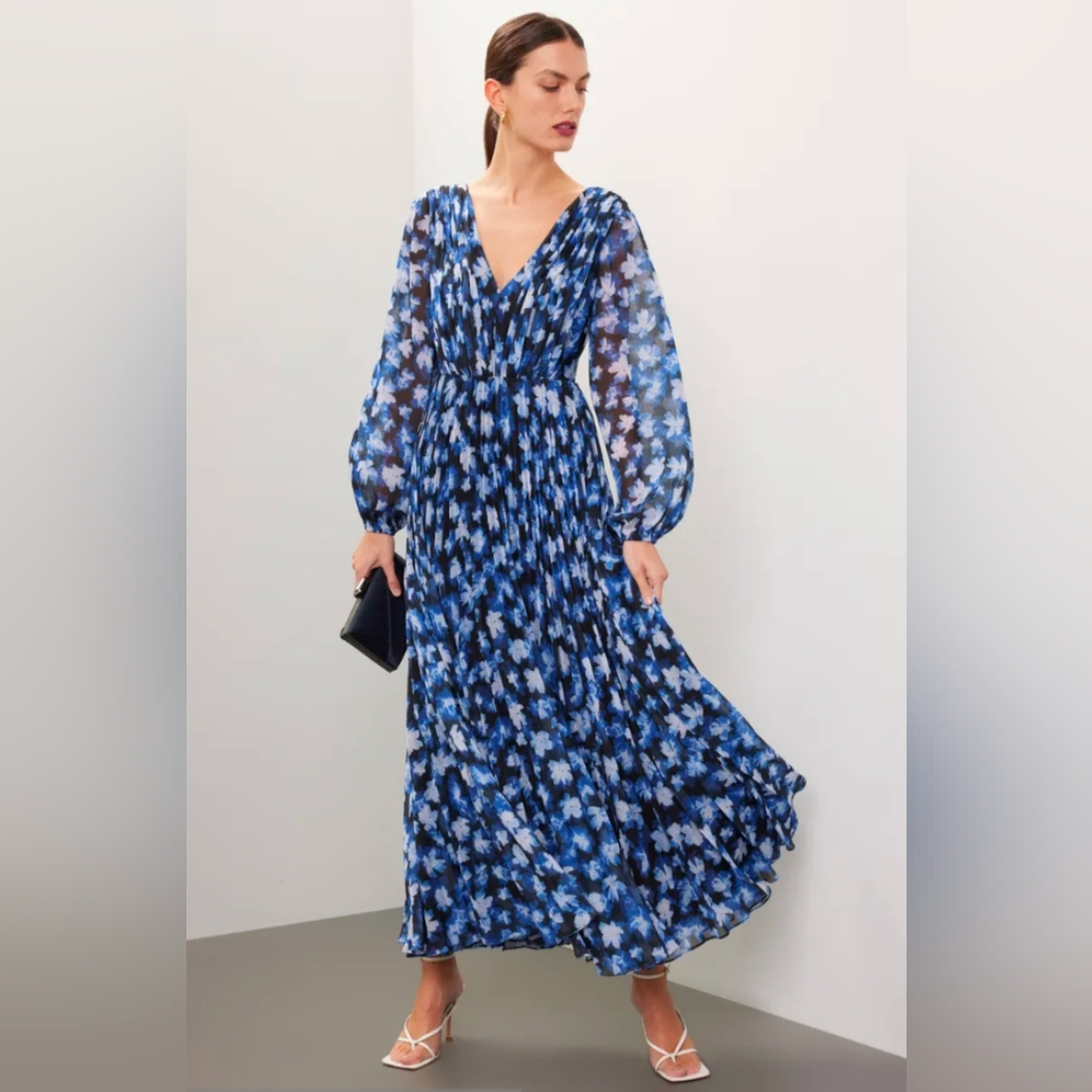 ML Monique Lhullier Melanie Blue Floral Maxi Dress Size 16 Rent The Runway